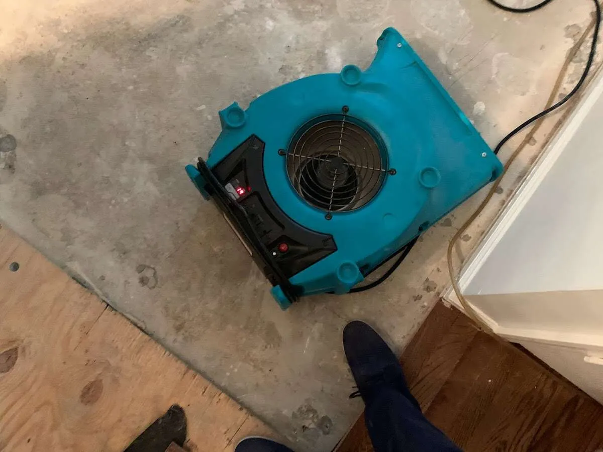 Air mover drying subfloor during Commercial Water Damage Restoration in New Carrollton